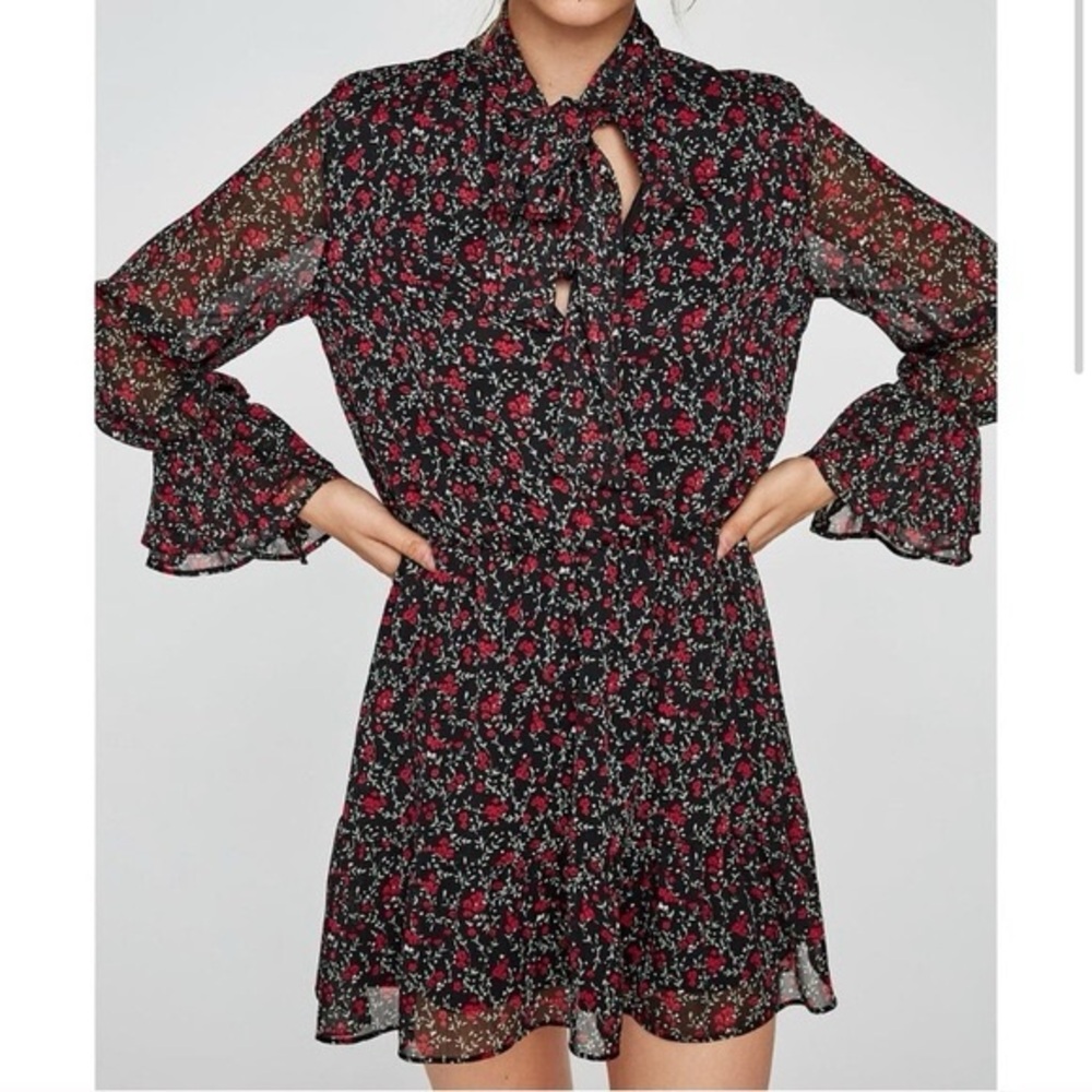 Zara long-sleeved floral tie-front mini dress in XS